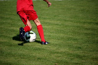 爱游戏官网充值-中国篮球青年运动员选拔体系研究，中国篮球国家青年队选拔方式